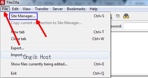 Site maanager Filezilla