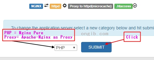 nginx hosting nginx cpanel