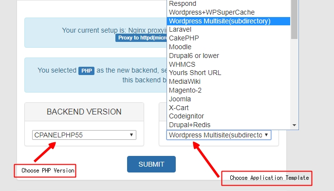 nginx hosting nginx