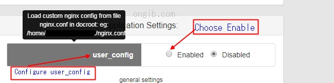 nginx hosting config nginx